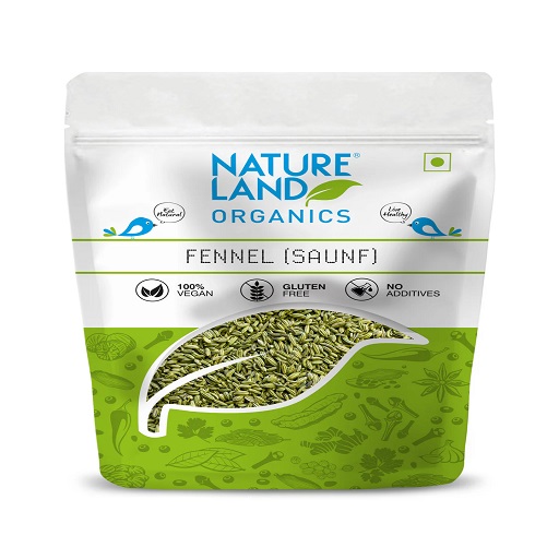 Organic Fennel (Saunf) 100 Gm